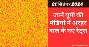 Arhar Dal market price today in Uttar Pradesh on (21 September 2024)